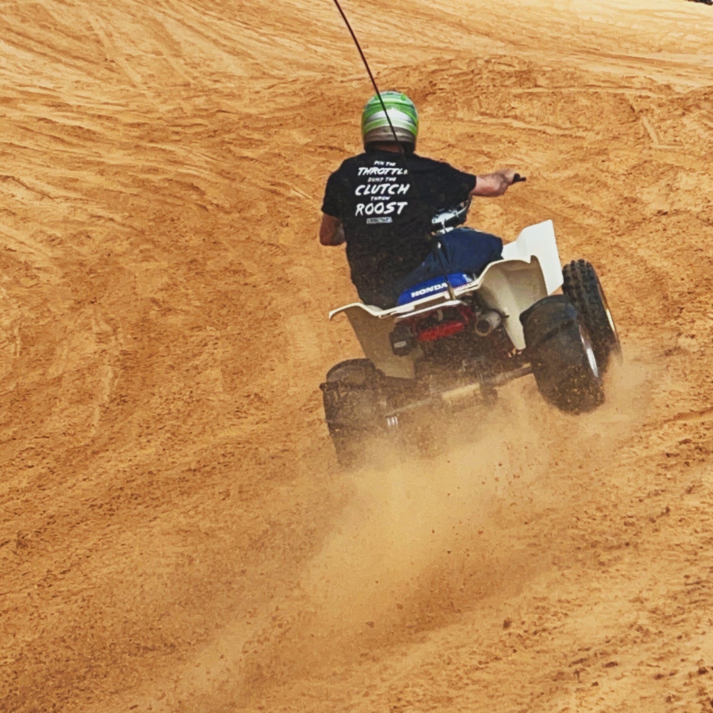 THROW ROOST TEE