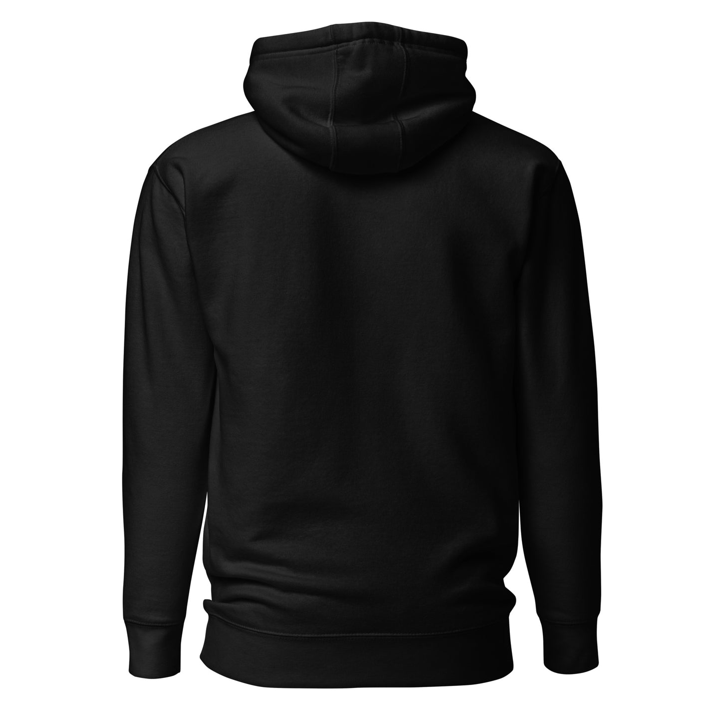 USA 2 HOODIE