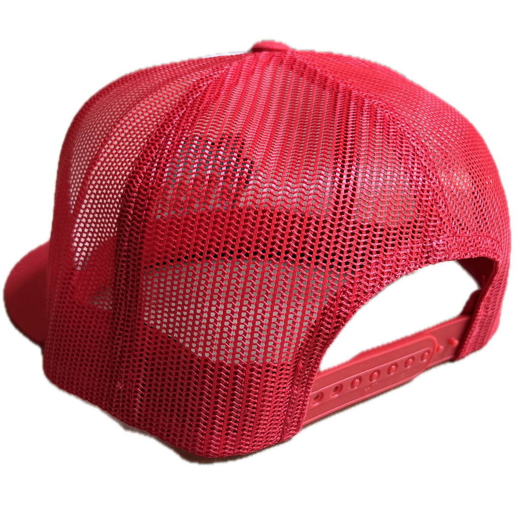 USA 1 TRUCKER