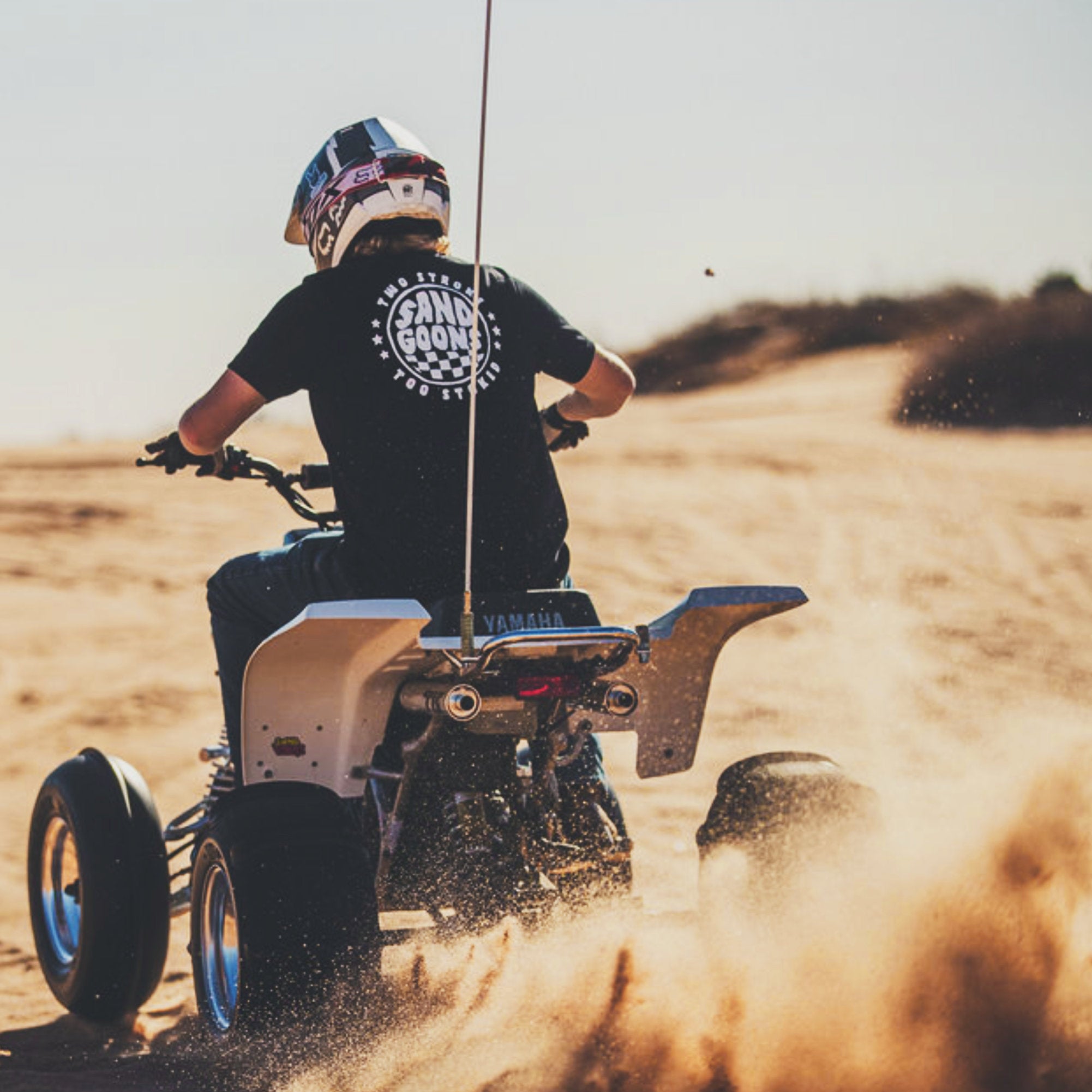 TWO STROKE, TOO STOKED TEE