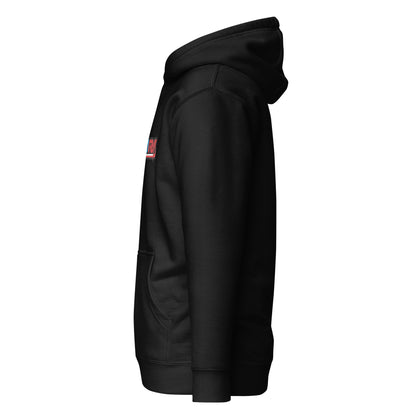 USA 2 HOODIE