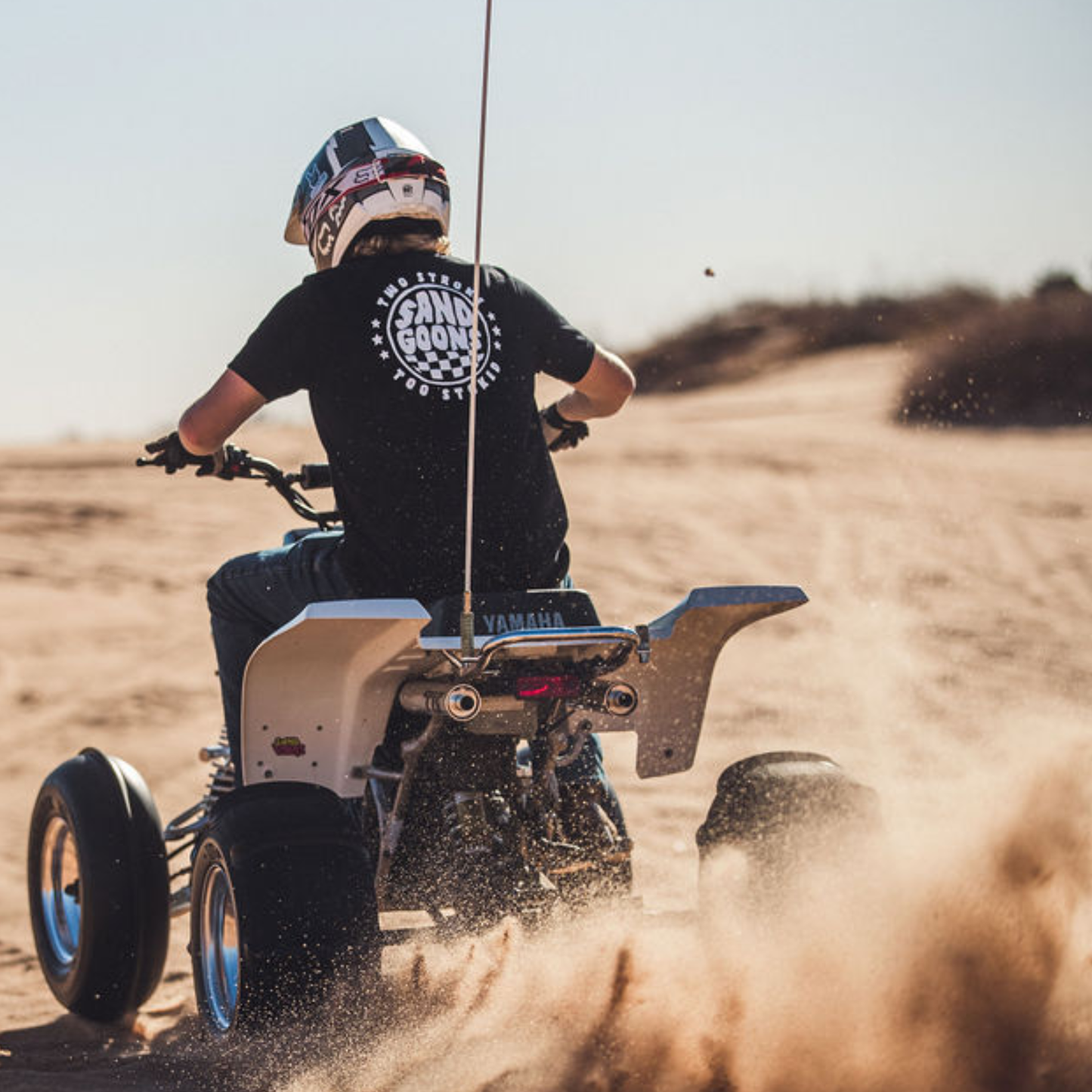 TWO STROKE, TOO STOKED TEE